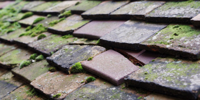 Bradville roof repair costs